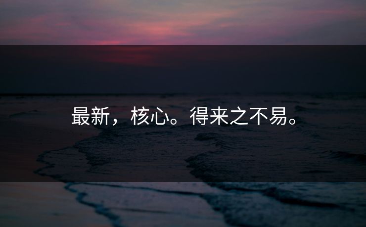 最新，核心。得来之不易。