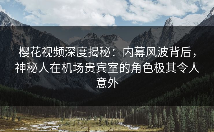樱花视频深度揭秘：内幕风波背后，神秘人在机场贵宾室的角色极其令人意外