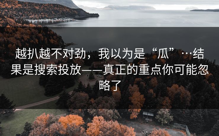 越扒越不对劲，我以为是“瓜”…结果是搜索投放——真正的重点你可能忽略了