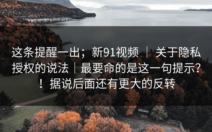 这条提醒一出；新91视频 ｜ 关于隐私授权的说法｜最要命的是这一句提示？！据说后面还有更大的反转